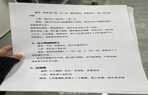 一财报显示NS2将在4月至9月发布